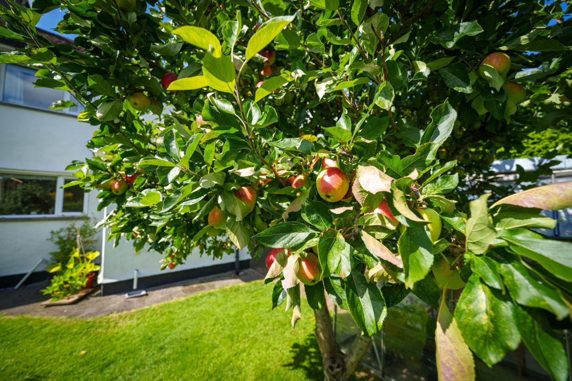 Apple Byrd - Short Stroll Into Kendal Town Centre Villa Exterior photo